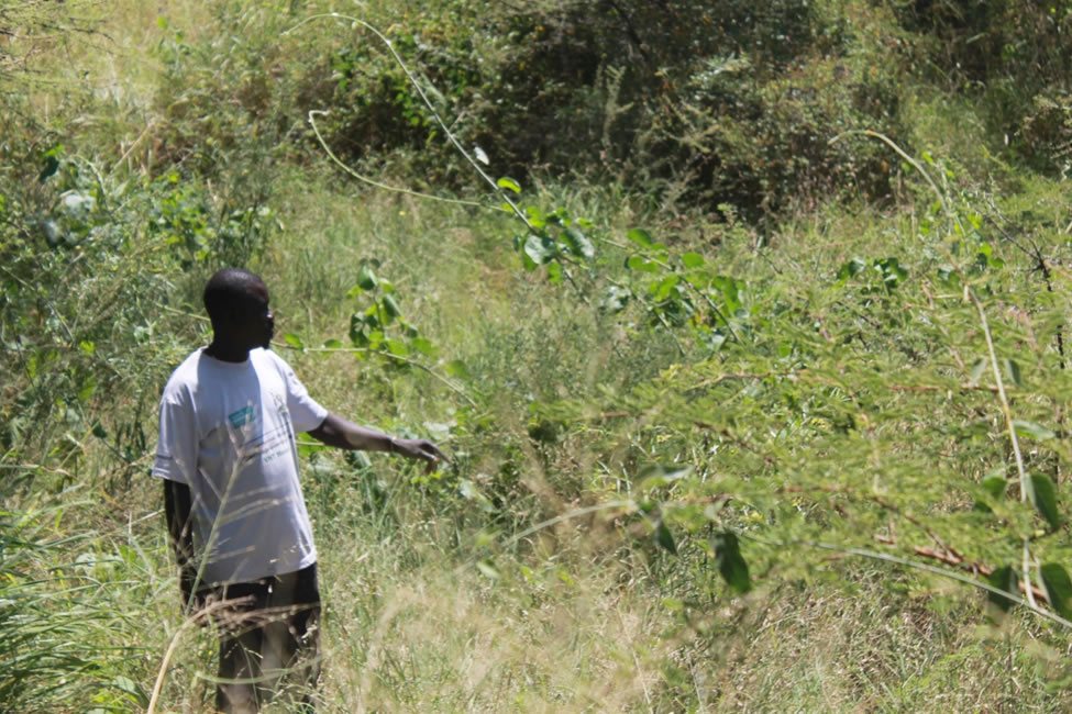 
One of the cash for work participants standing in the one sites for cash for work in Nakiloro Parish in Rupa subcounty